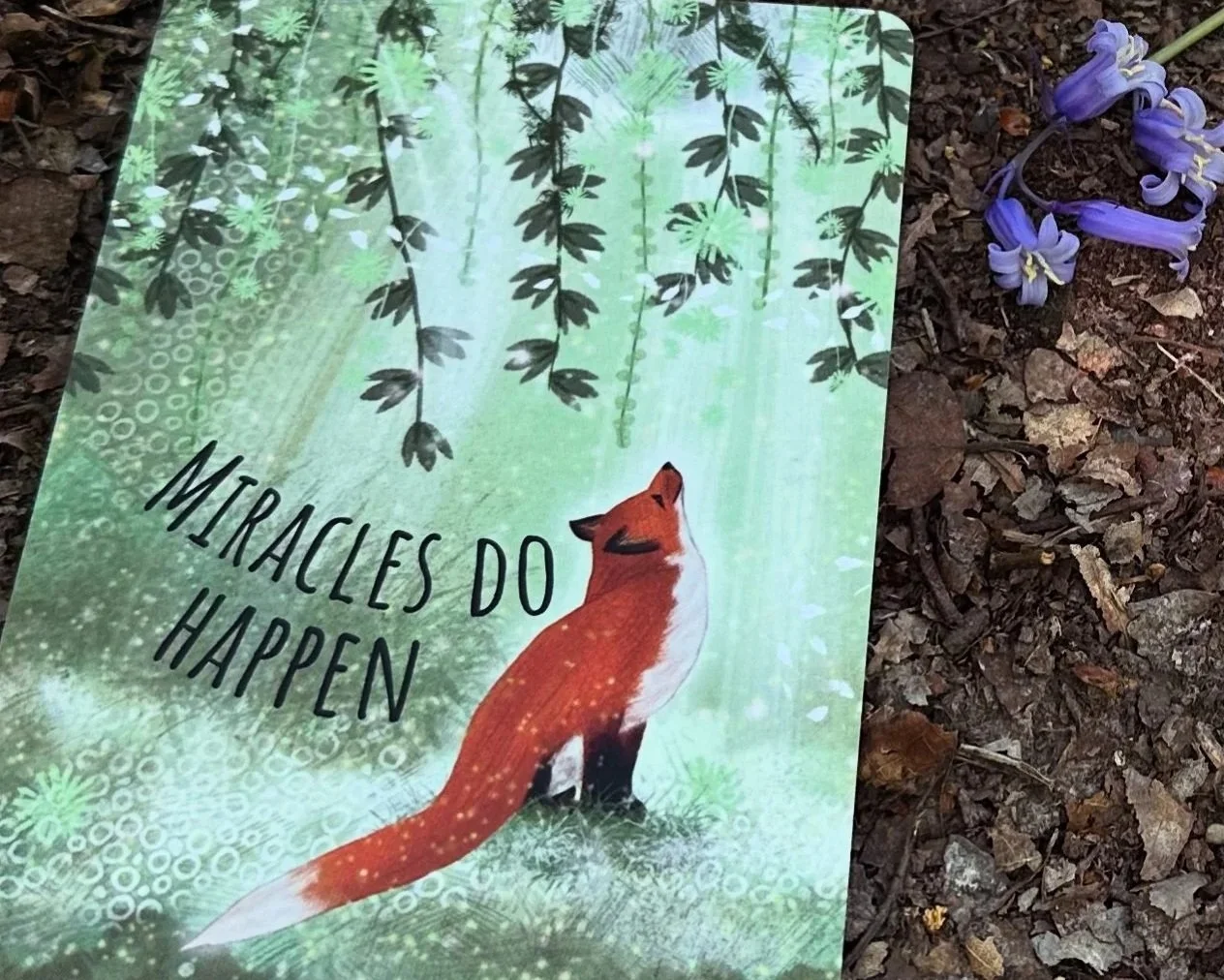 Click here to view 'Design Your Dream Life' Mindful Workshop