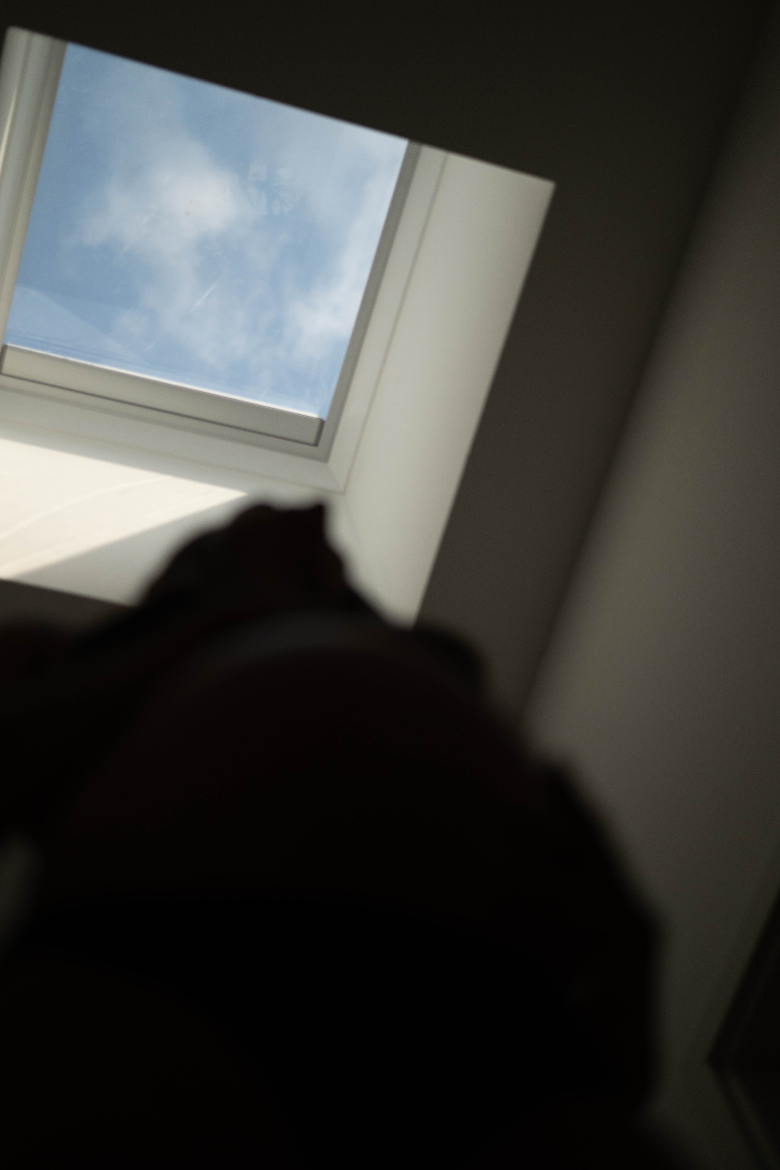 AMF_7551.jpg