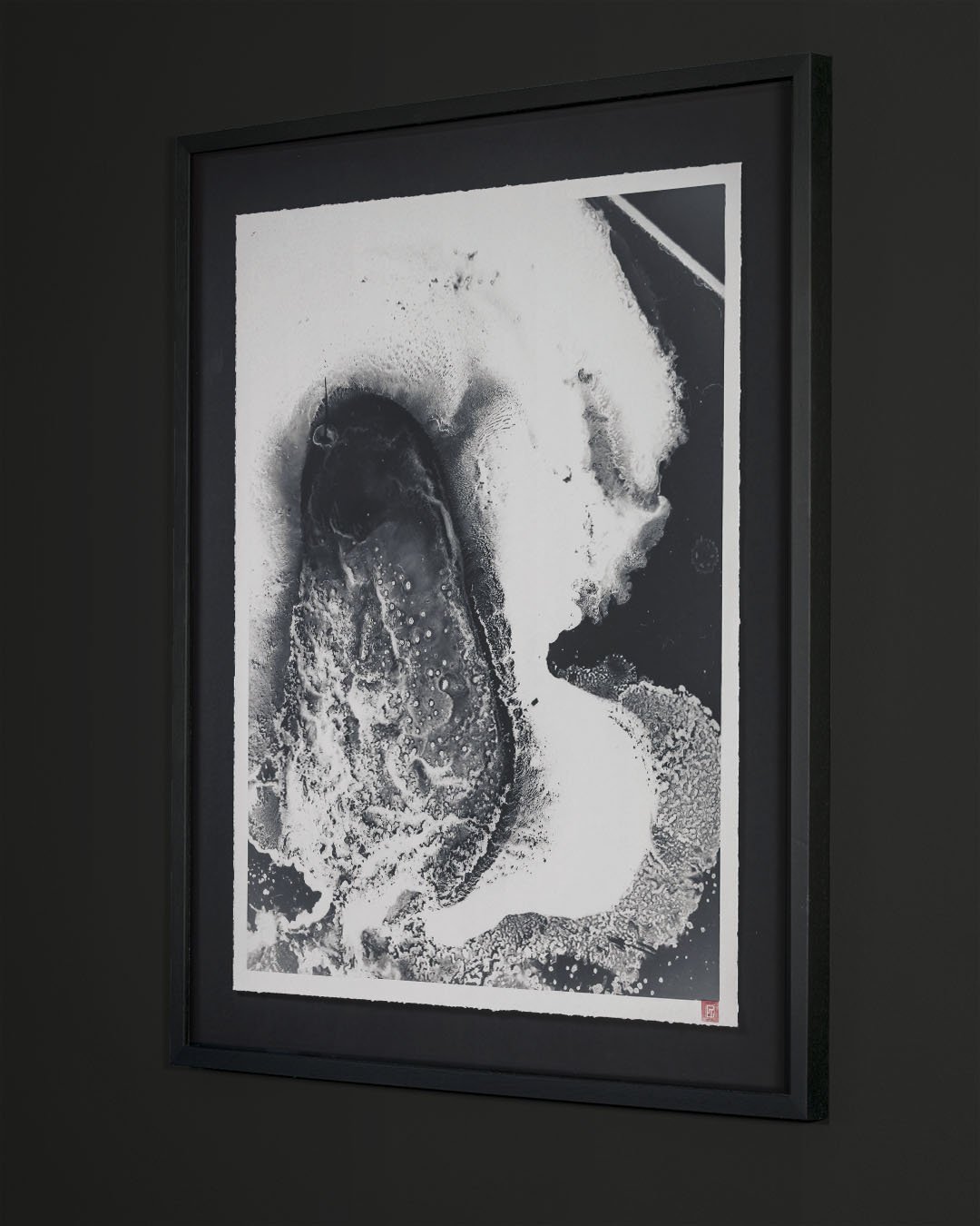 GAZE AT FLIES MO2.jpg