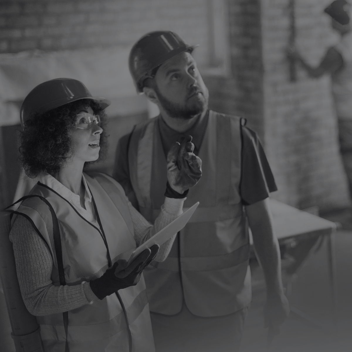 Building Inspectors