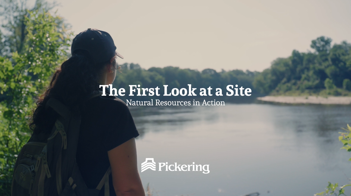 The First Look at a Site | Natural Resources in Action