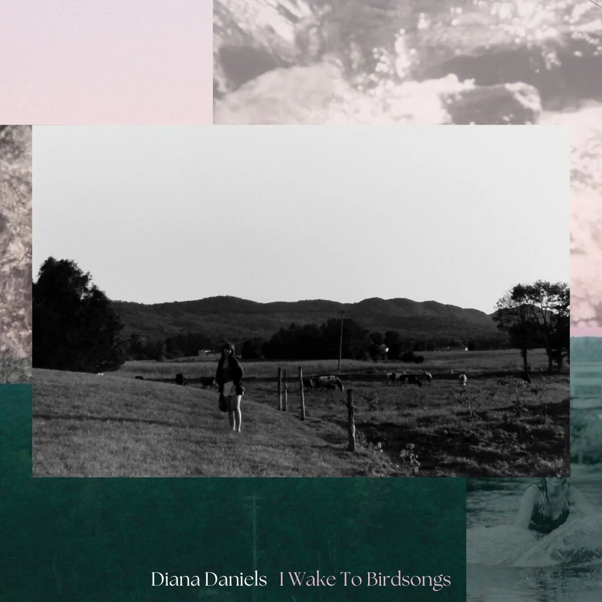 Diana Daniels // I Wake To Birdsongs // producer, engineer, mix, master