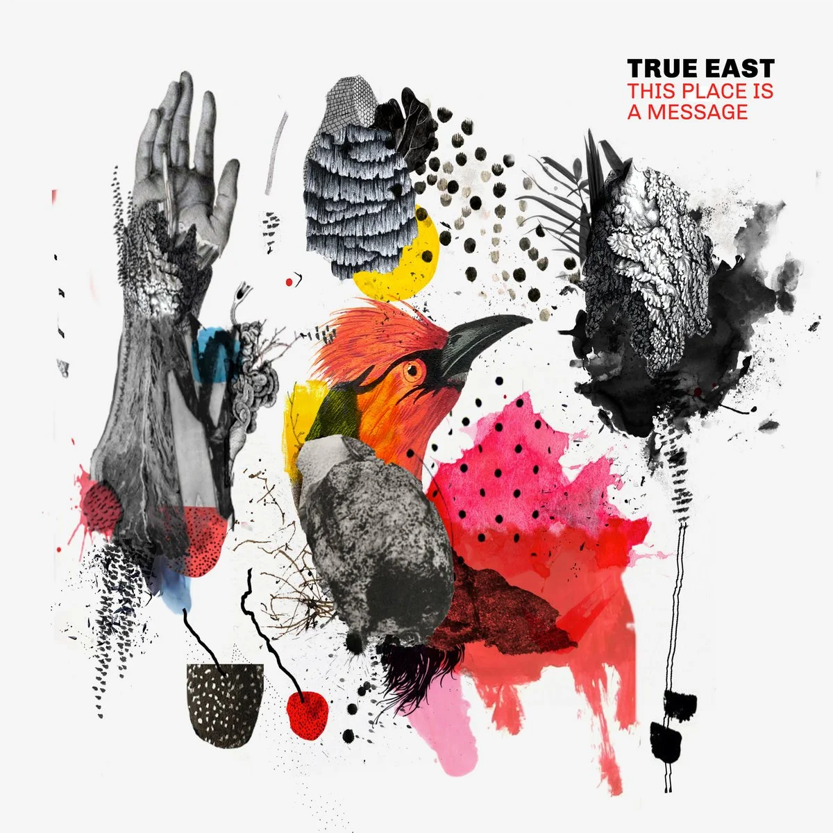 True East // This Place is a Message // engineer, mix