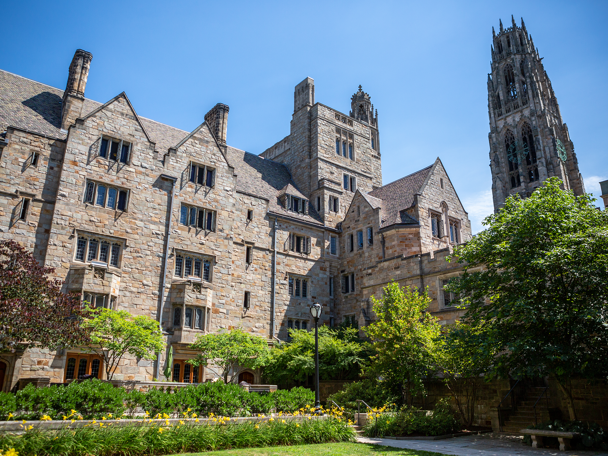 Yale 3.png