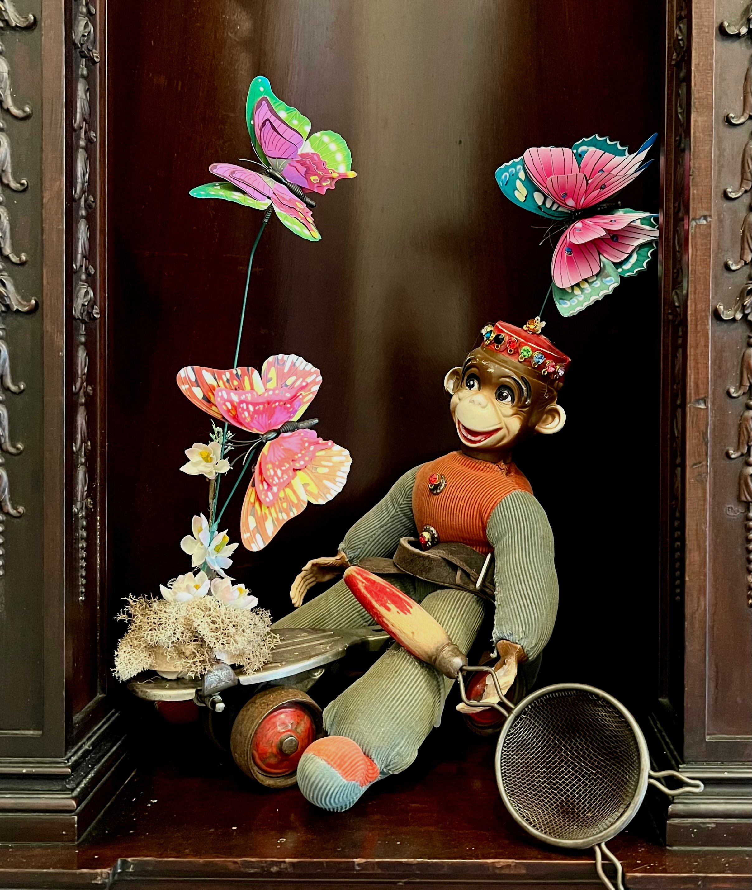 Catching Butterflies