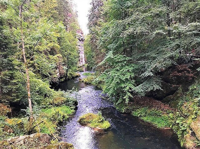 Bohemian National Forest - Edmunds Gorge (sold)