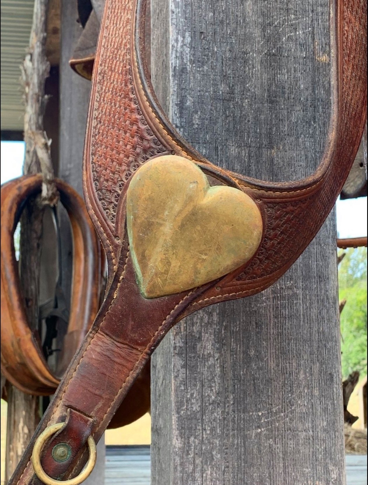 Wild Heart