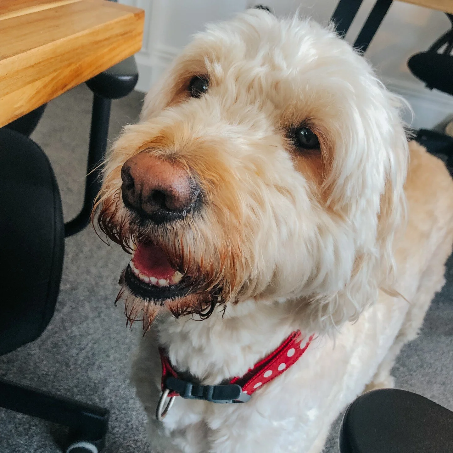 Marmalade Marketing Recruitment Marketing Agency