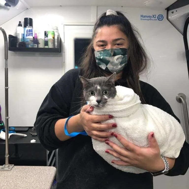 Our Groomers — EarthWise Pet Marysville Mobile Pet Grooming Van