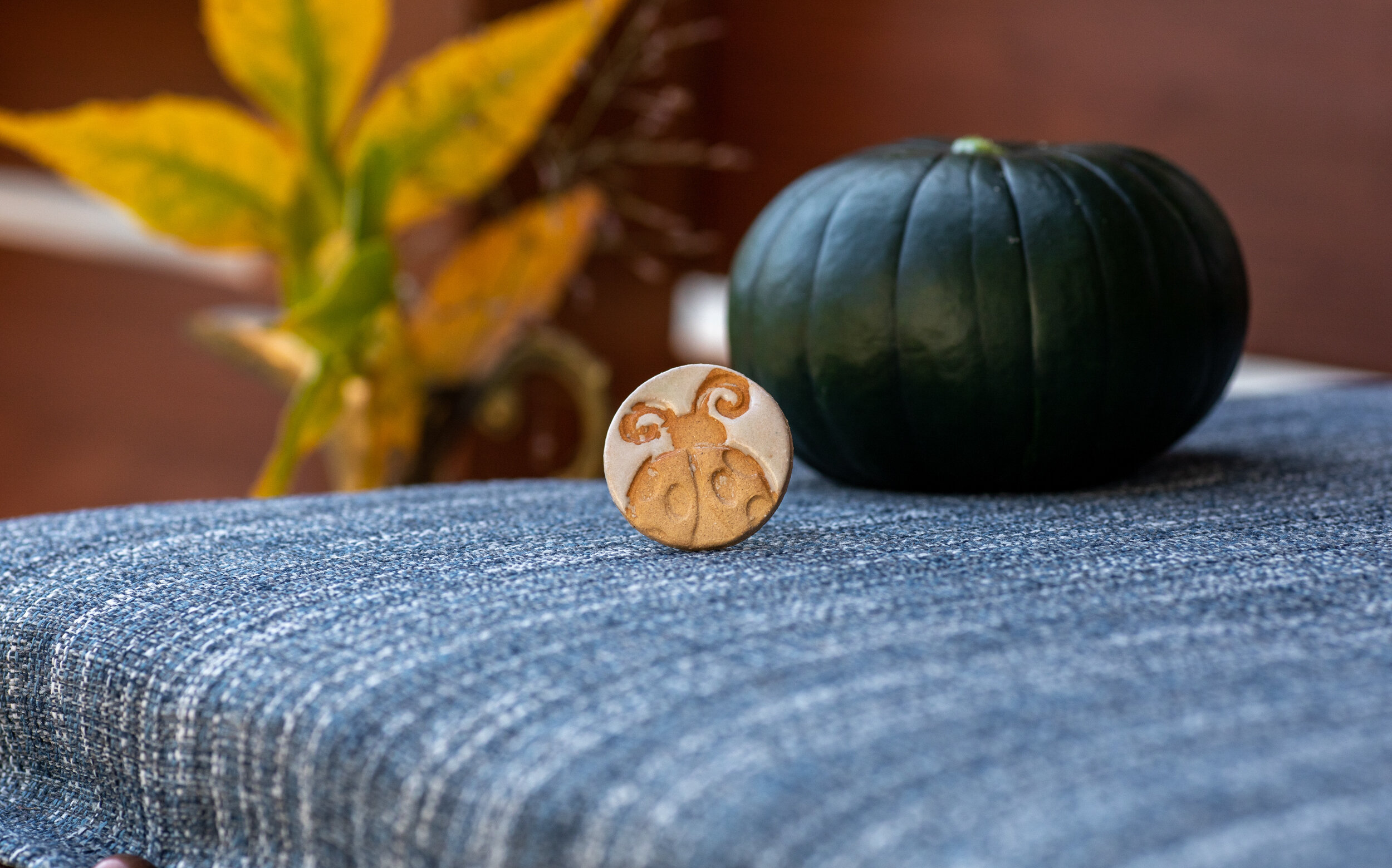 CeramicLadyBug_Resize_-02.jpg