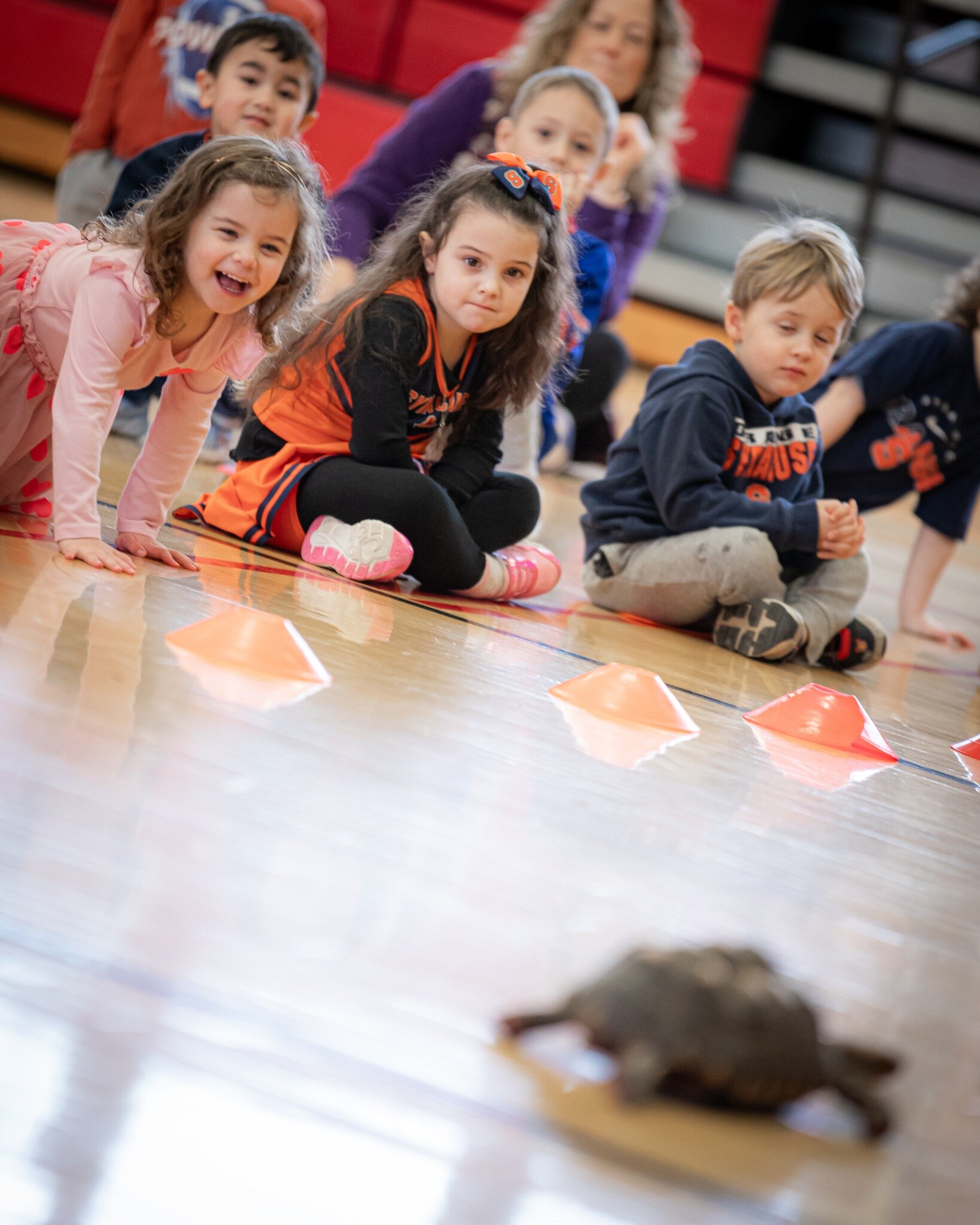 #CSW2024  is off to an exciting start! On Monday, some animal friends came to Holy Cross to visit with our PK and Kindergarten students while grades 1-3 visited the Most and grades 4-6 went bowling! Thanks to G &amp; G Animals for teaching us all abo