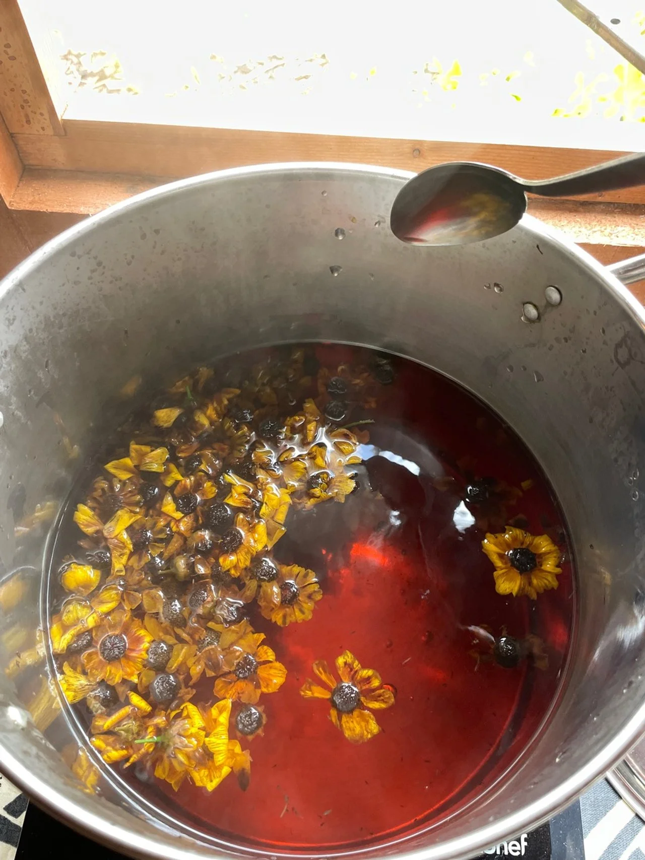 Spring Wild Ink Making: Bookings Closed — Hopewell Studios