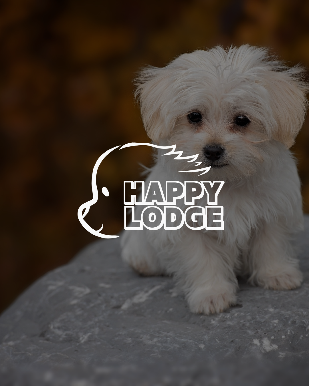 Happy Lodge