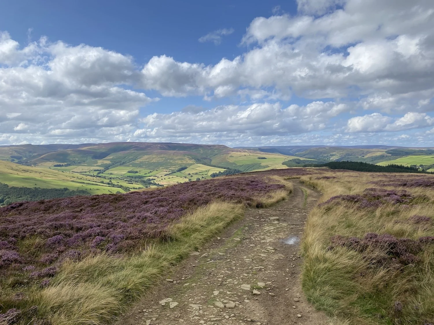 A clear track through purple heather across open moorland under blue sky