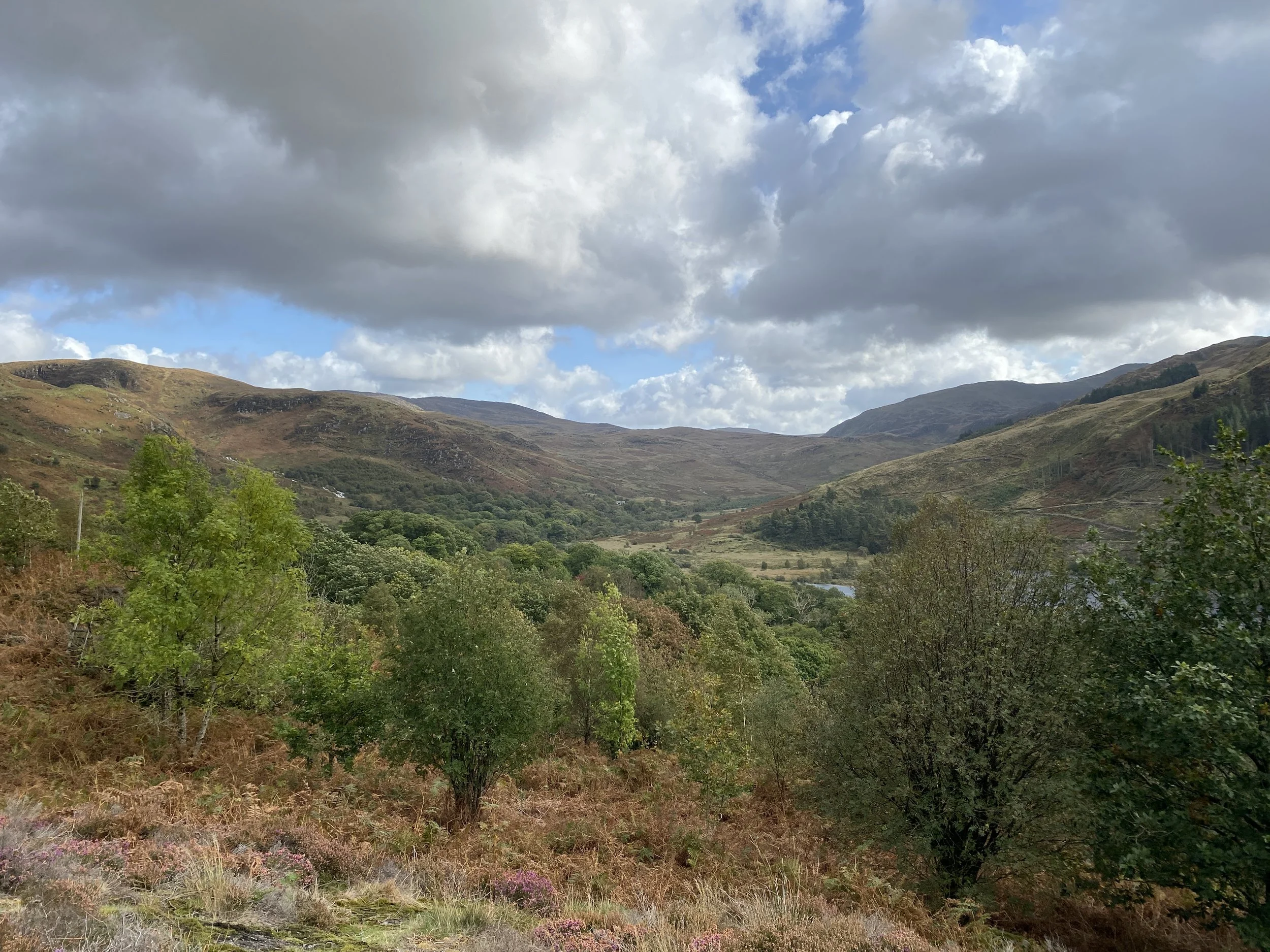 View of the Loch Trool Valley, Scotland, with mountains covered in green and brown vegetation under a cloudy sky.