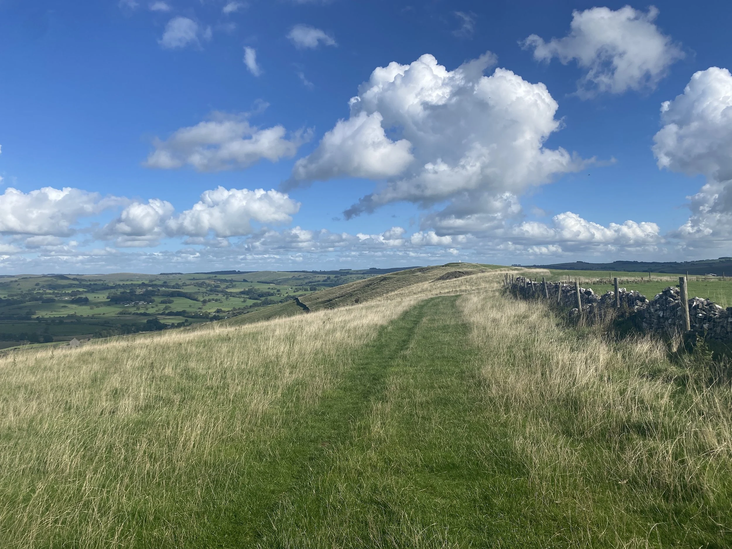 Grass track with limestone wall running alongside, looking towards Ecton Hill trig point in the distance