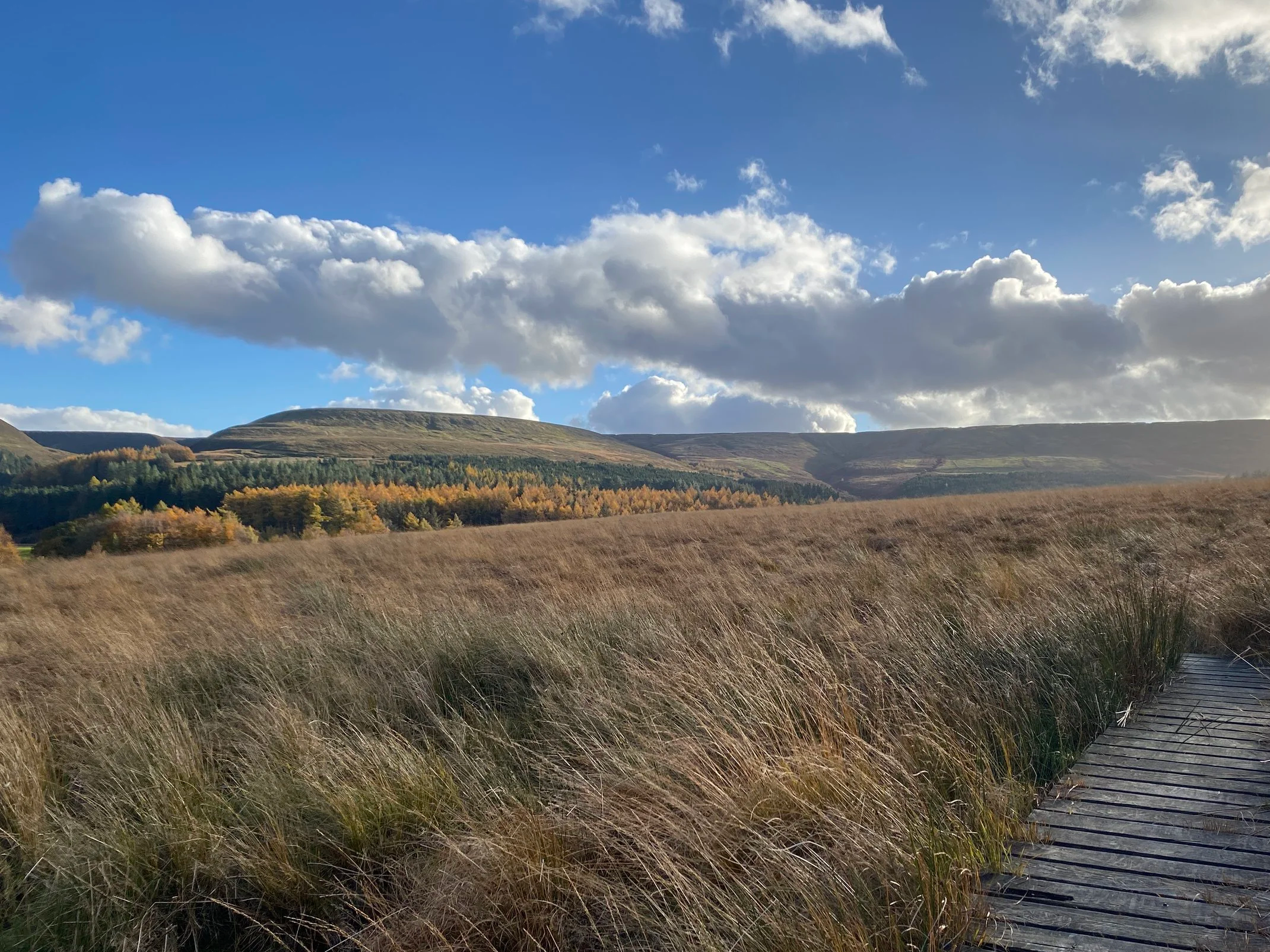Moorland view towards Yateholme in West Yorkshire