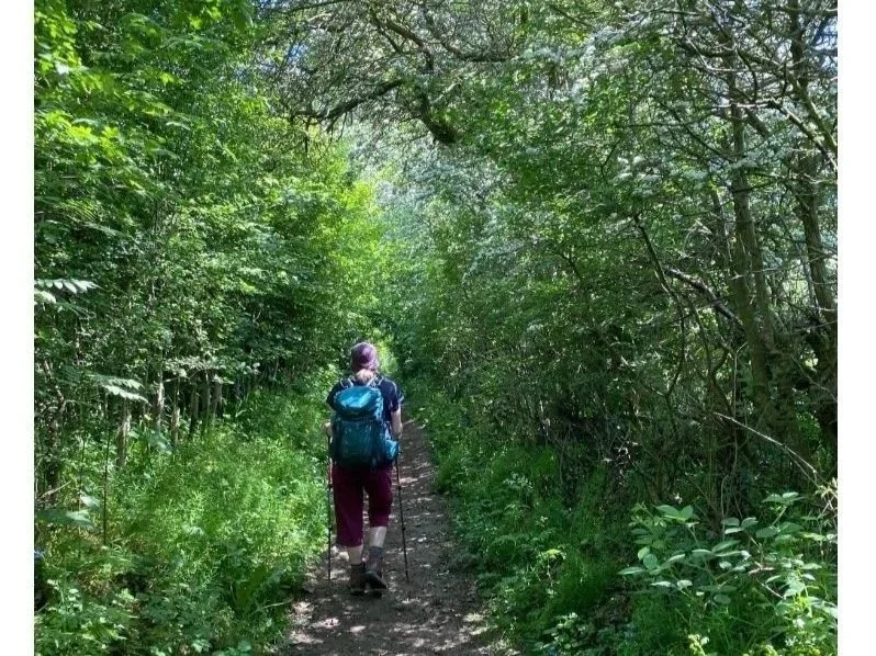 Walking through woodland