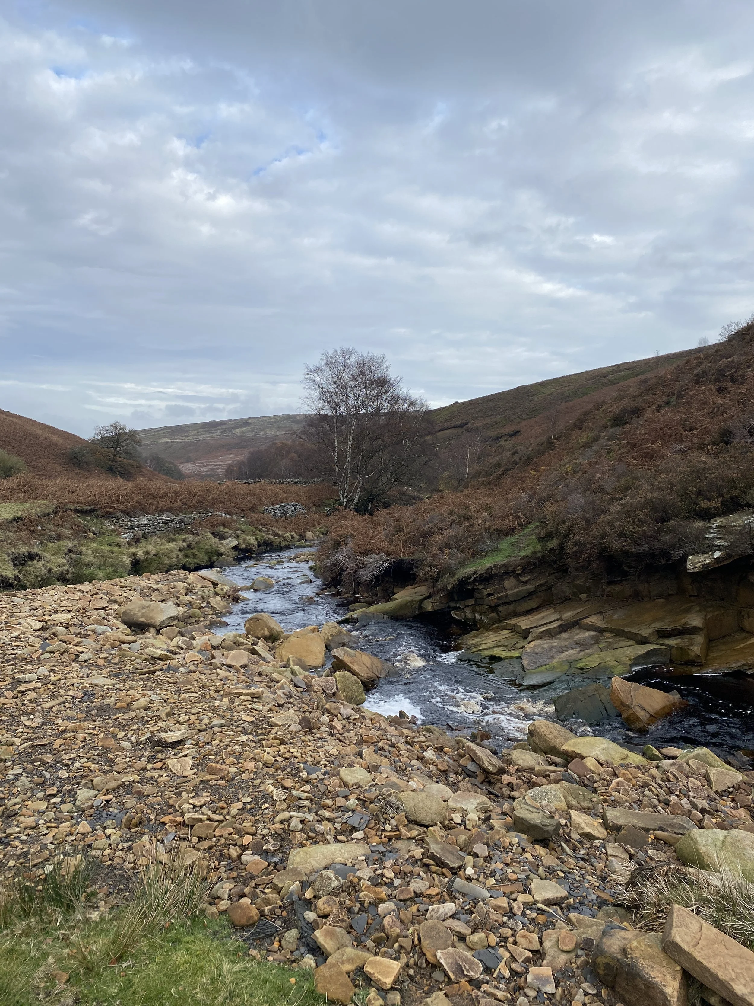 Looking up a river valley towards moors, Langsett, Peak District