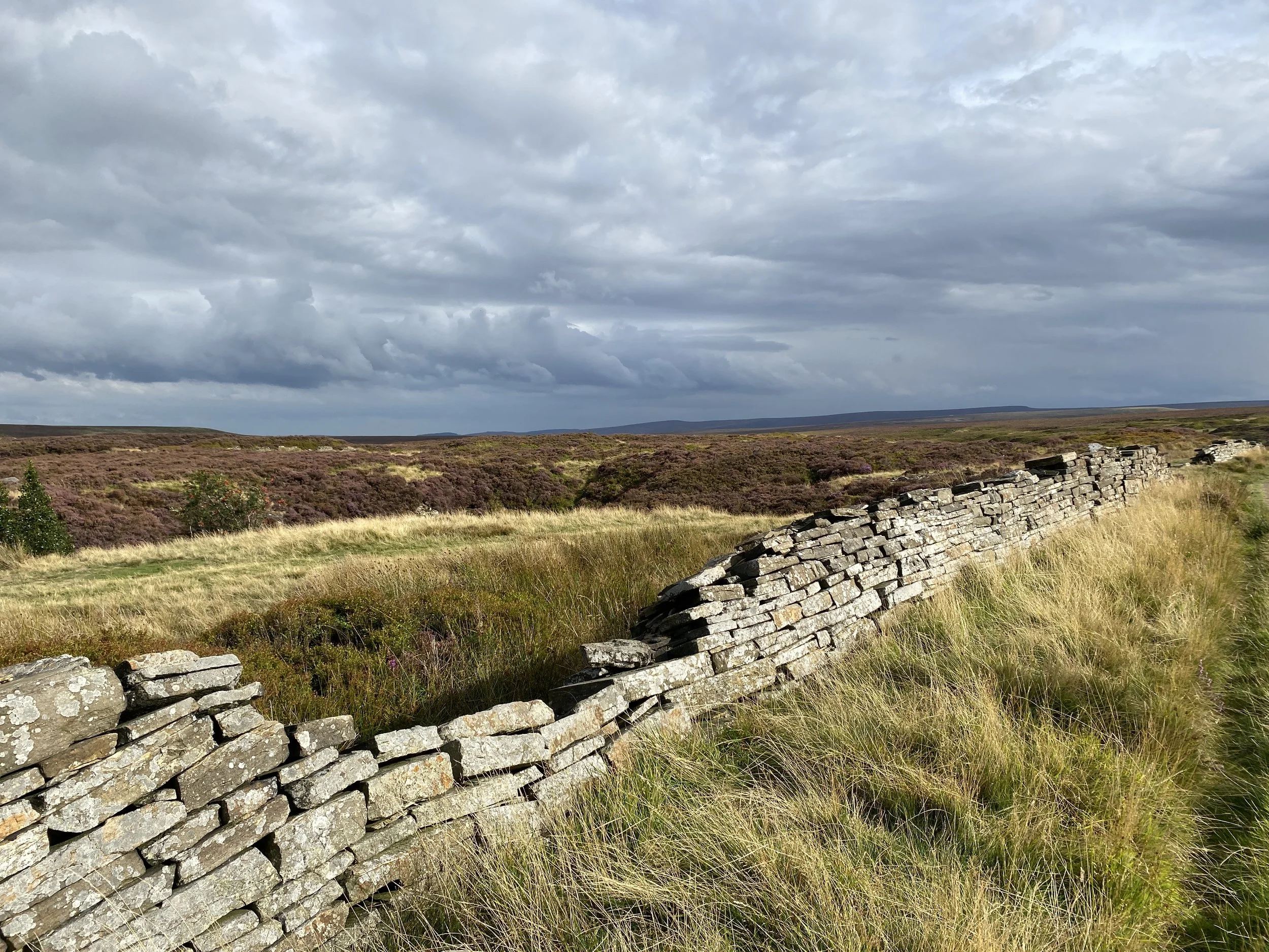 Drystone wall in foreground with moorland stretching out into the distance