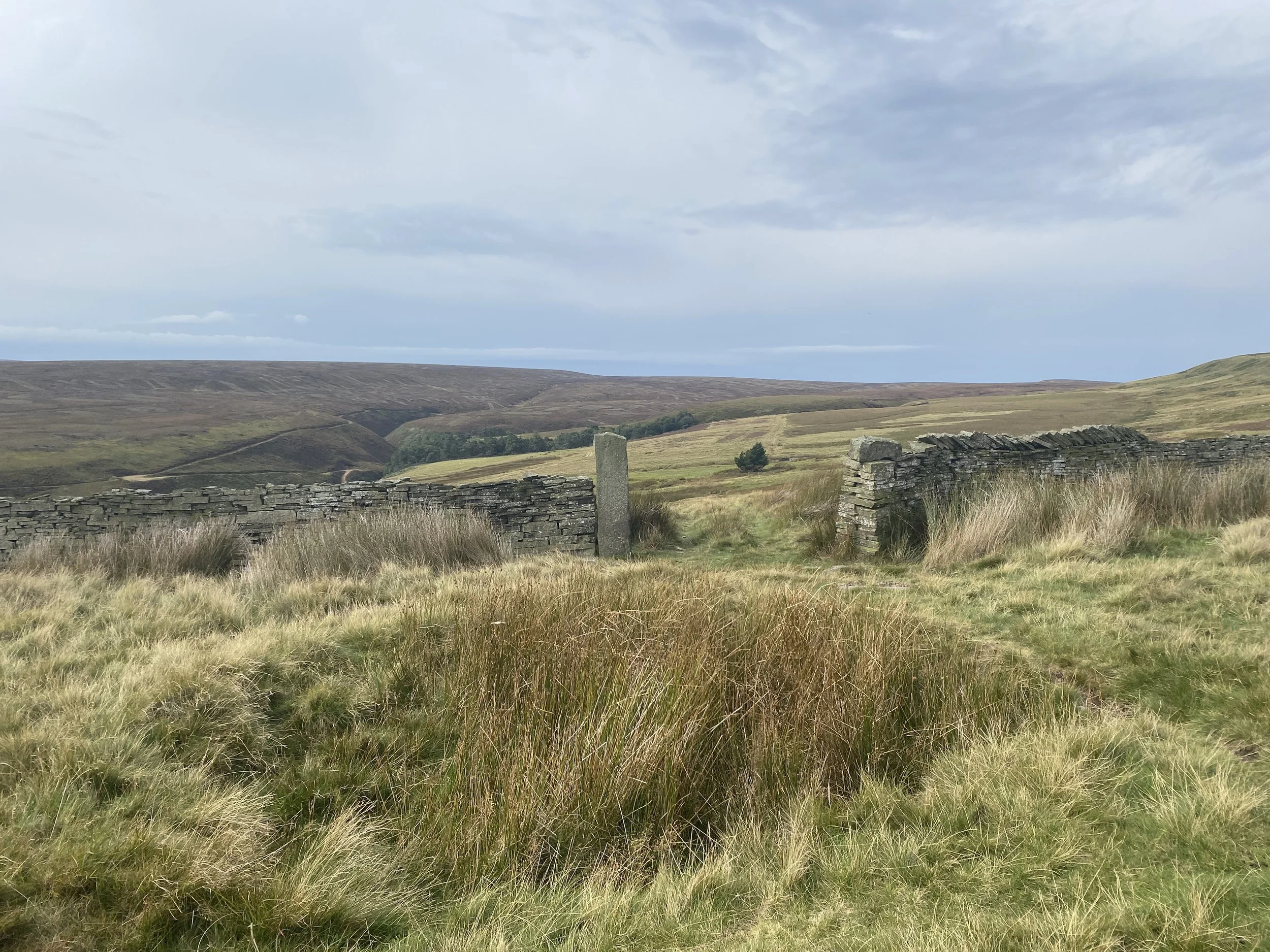Open grassy fields of Snailsden, West Yorkshire, with moorland in the distance and the remnants of a stone wall in the foreground.