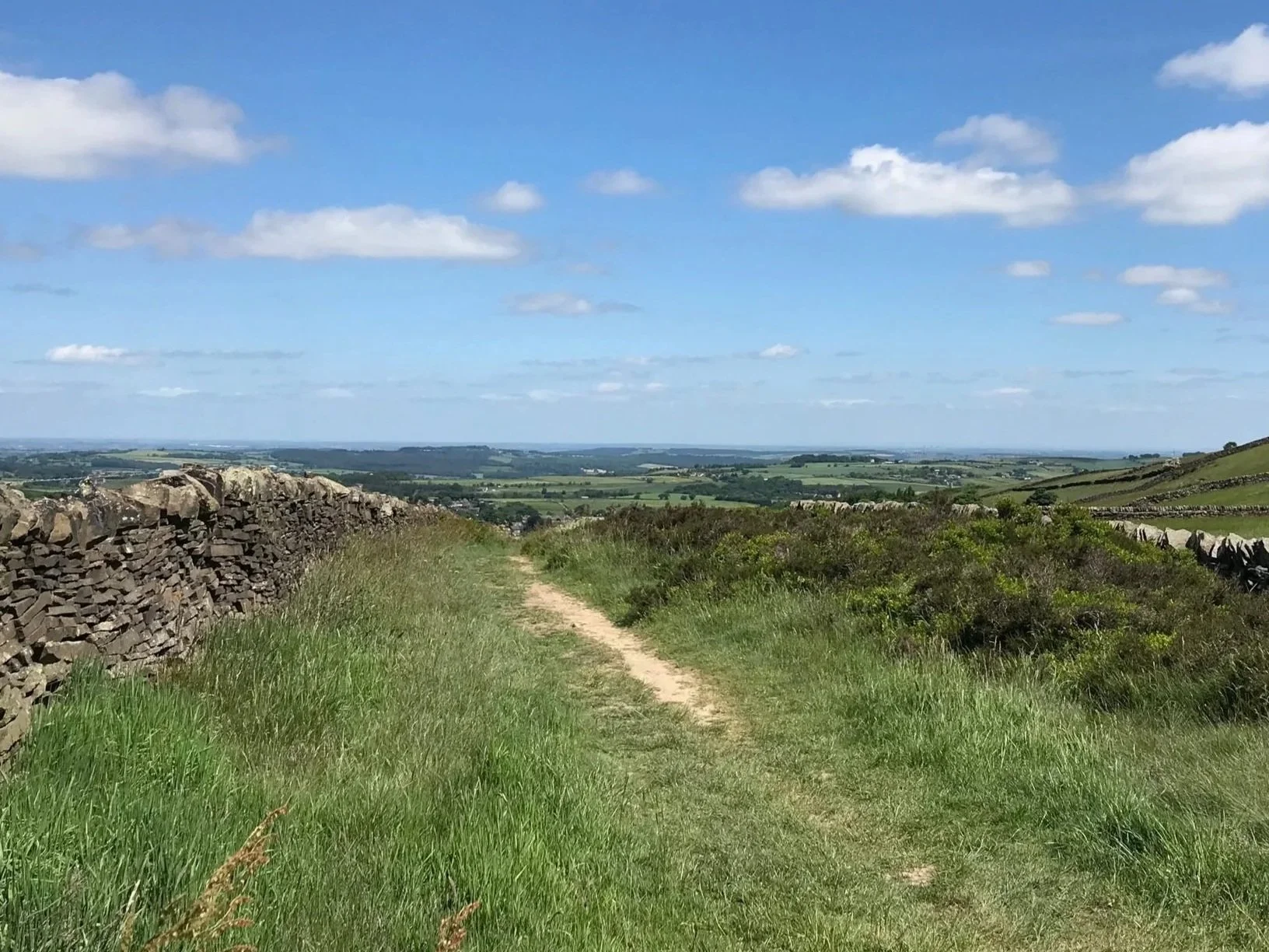 Track through green fields with drystone wall
