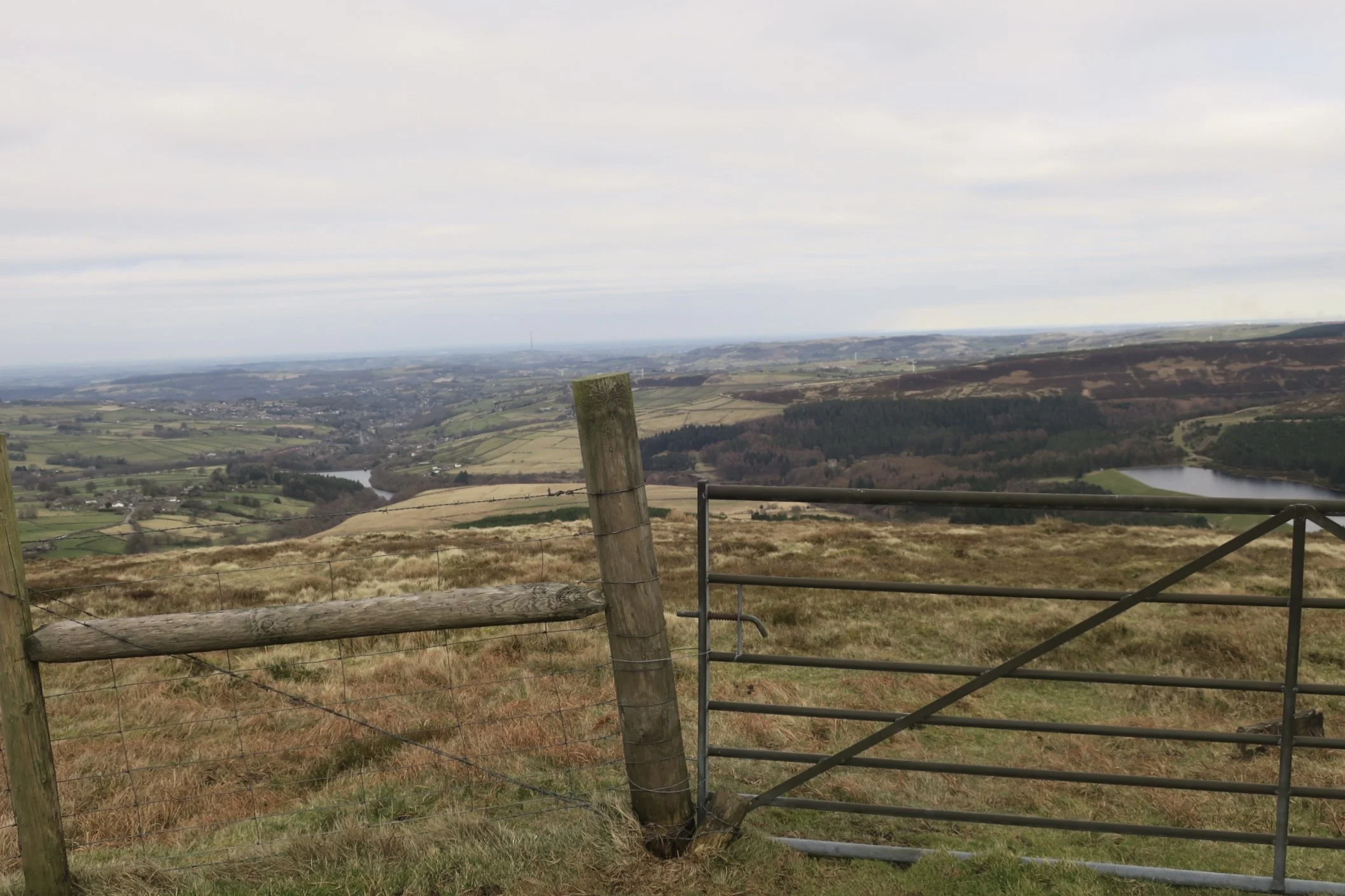 Fence and gate on Holme Moss moor
