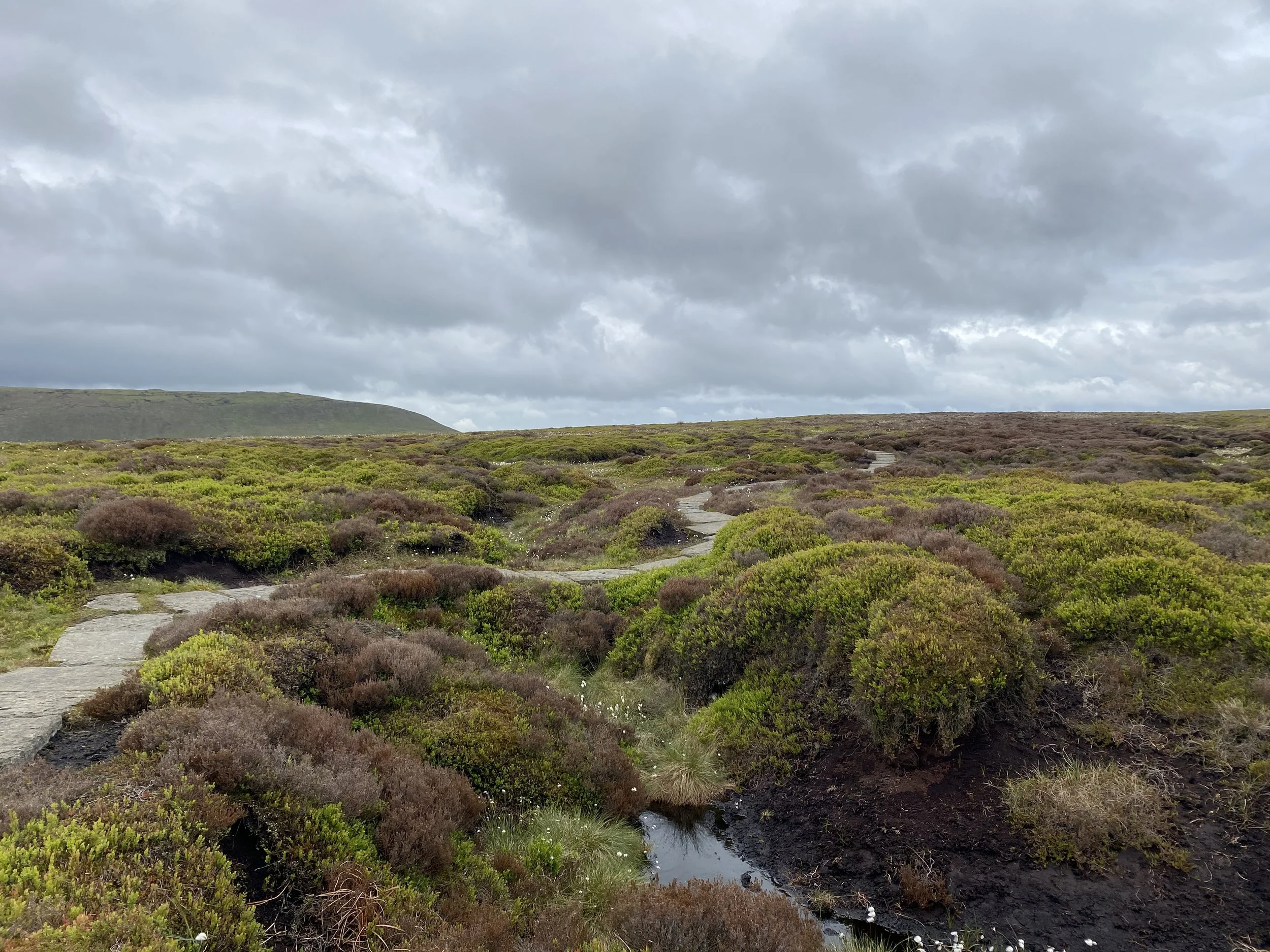 Stone flagged path winding through peat moorland