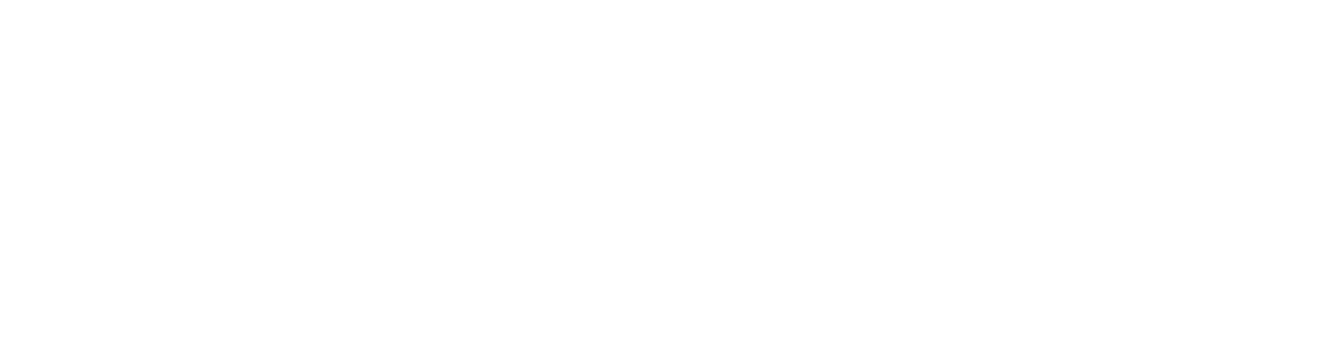 the boo radleys king budgie EP
