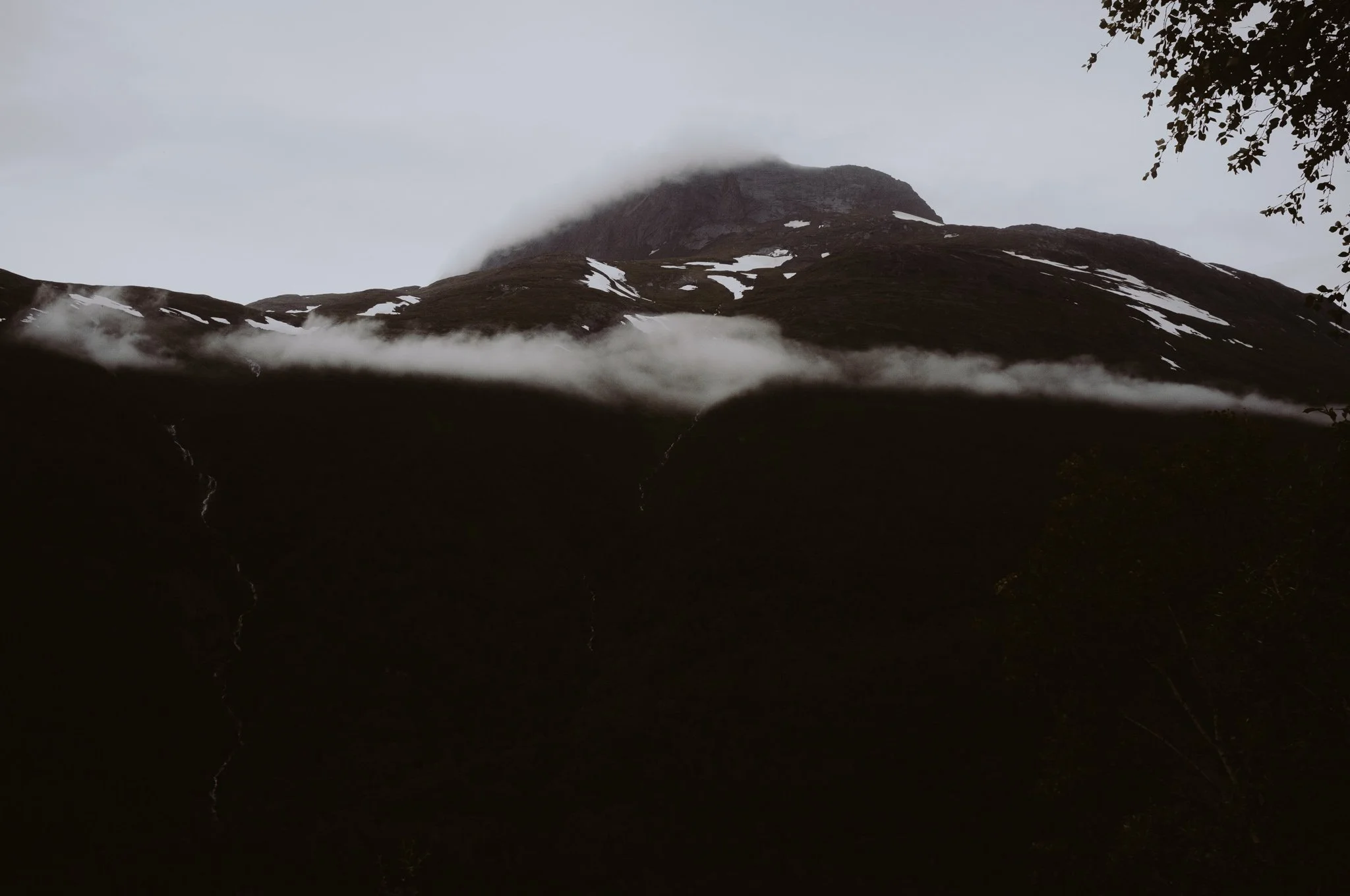 DSCF7226.JPG