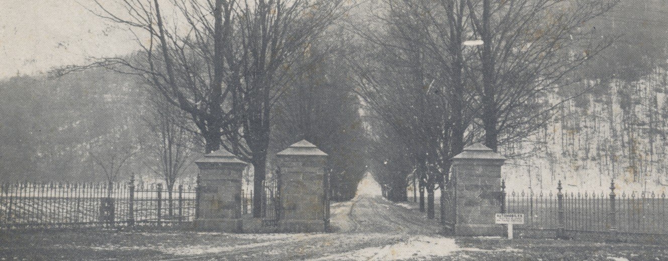 No. 4 - I Will Take It