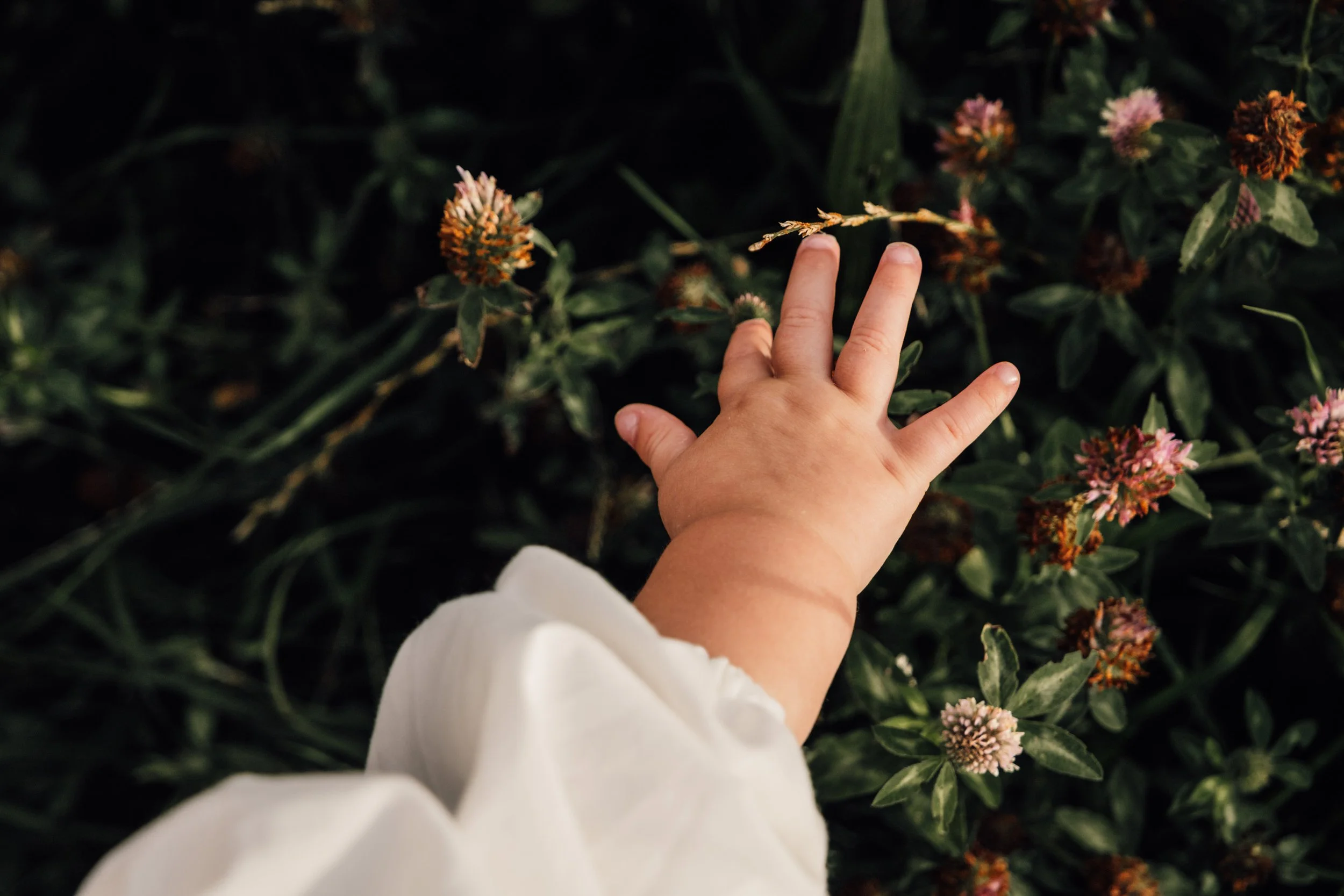 Family photography in Allestree, Derby