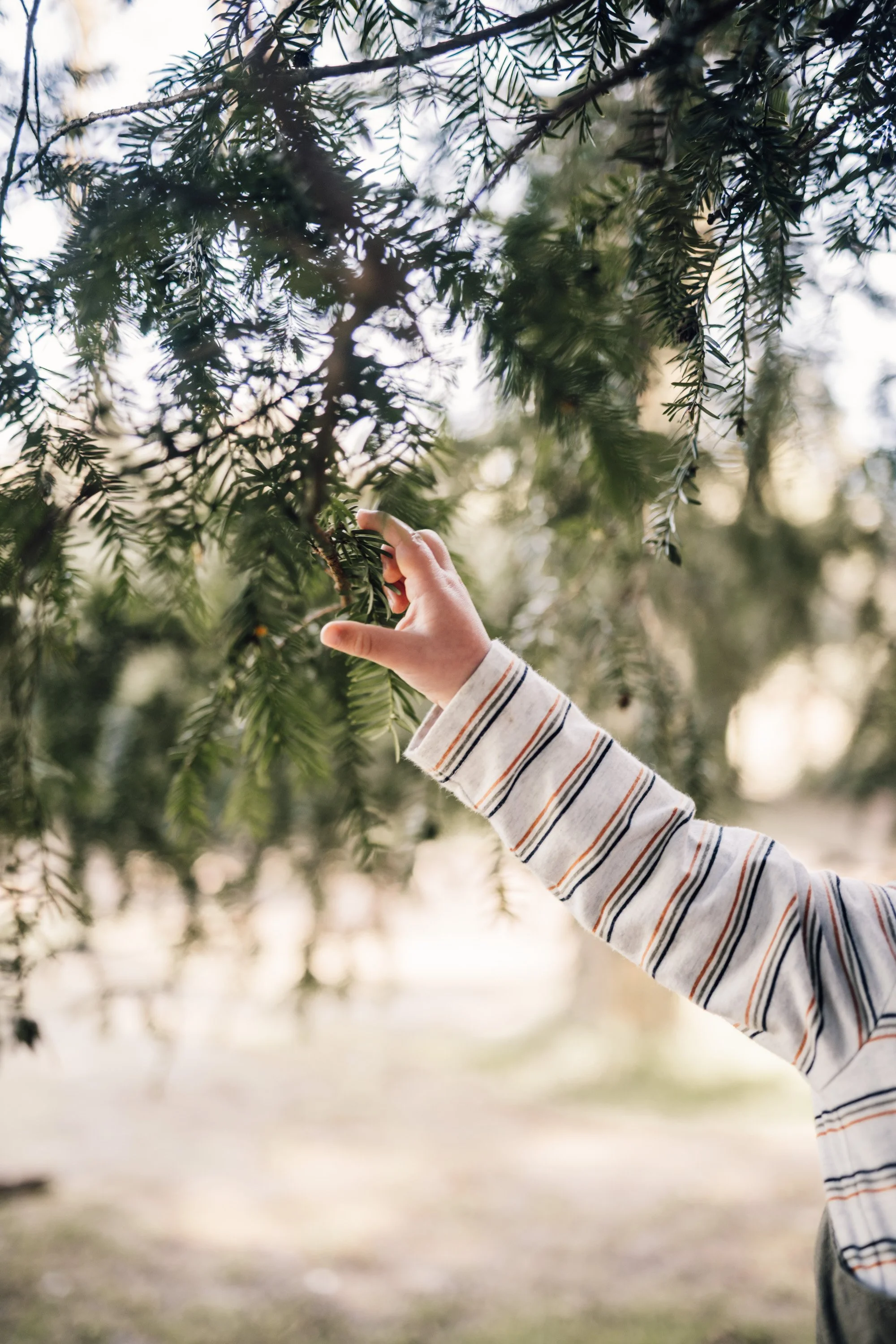 Child led family photos in derbyshire