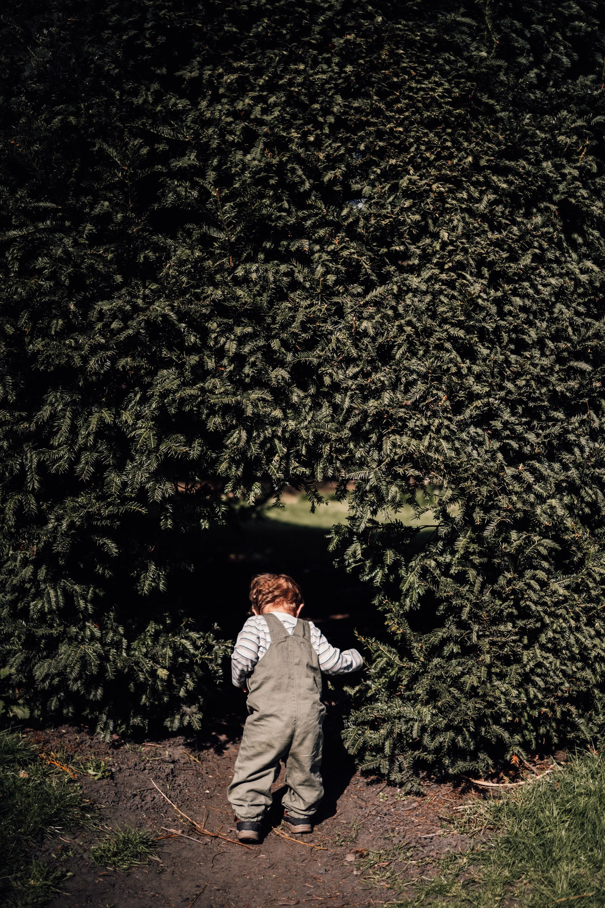 Relaxed family photography in derbyshire