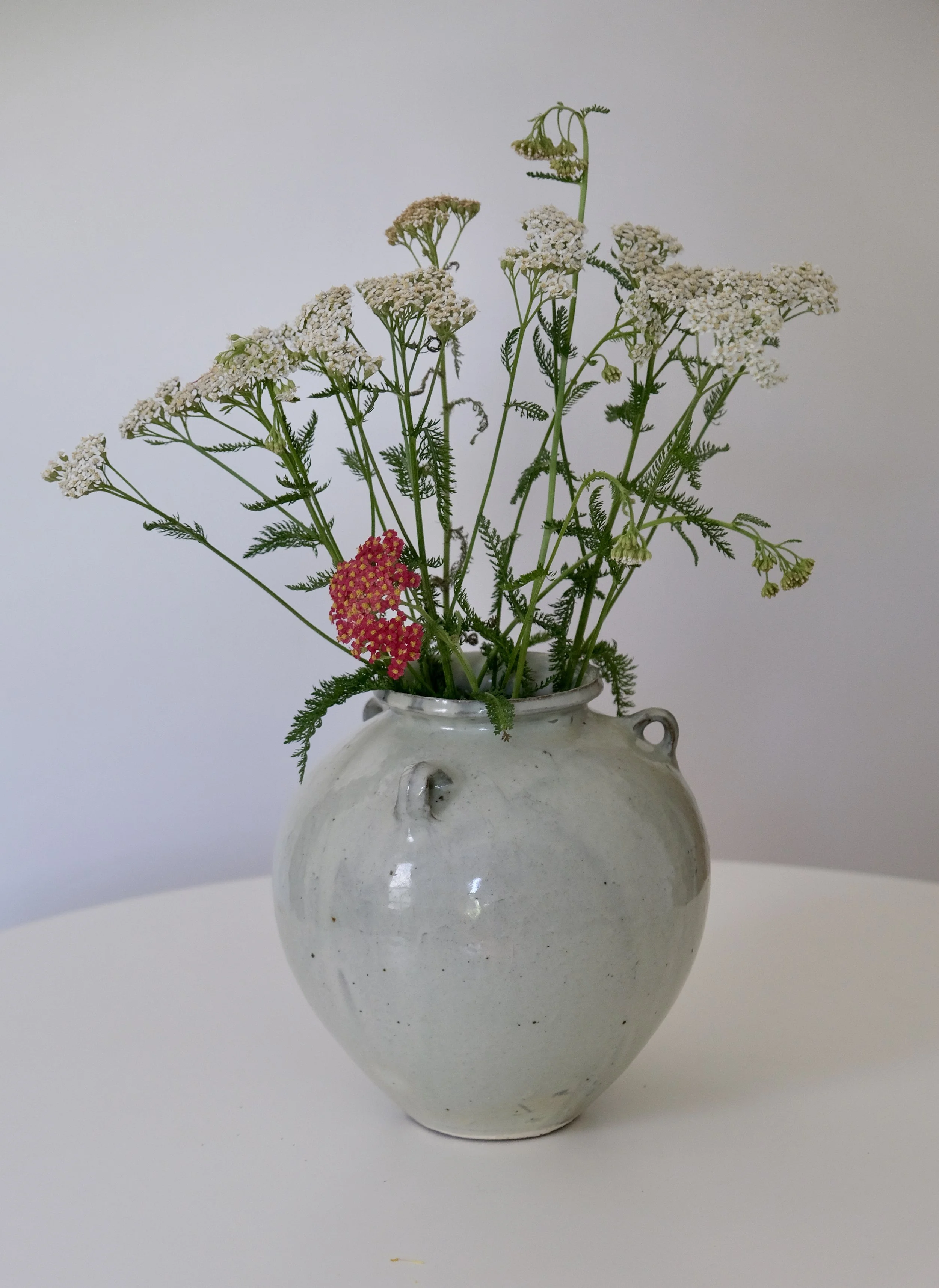 DSCF9091.jpg