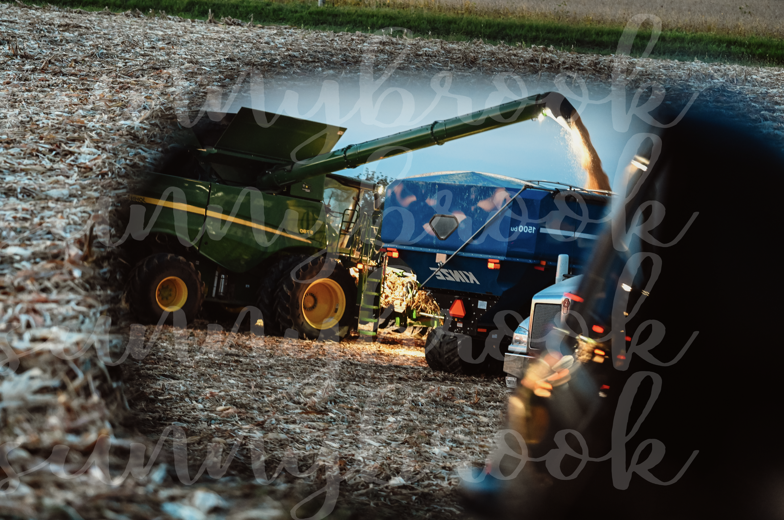 On the Farm: 4