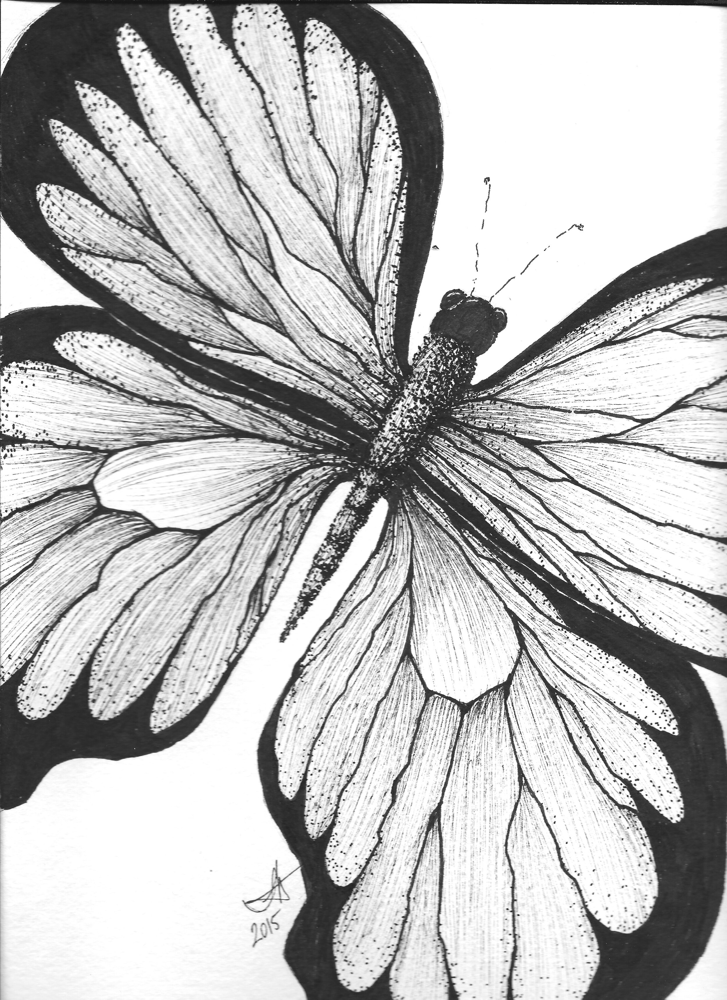 Butterfly - 9in x 12in Ink on Watercolor Paper