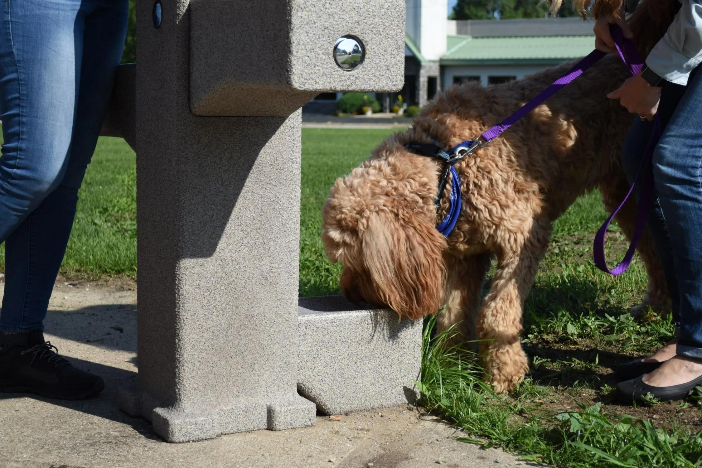 BlueTriton Brands — New water fountain for popular Evart, Michigan