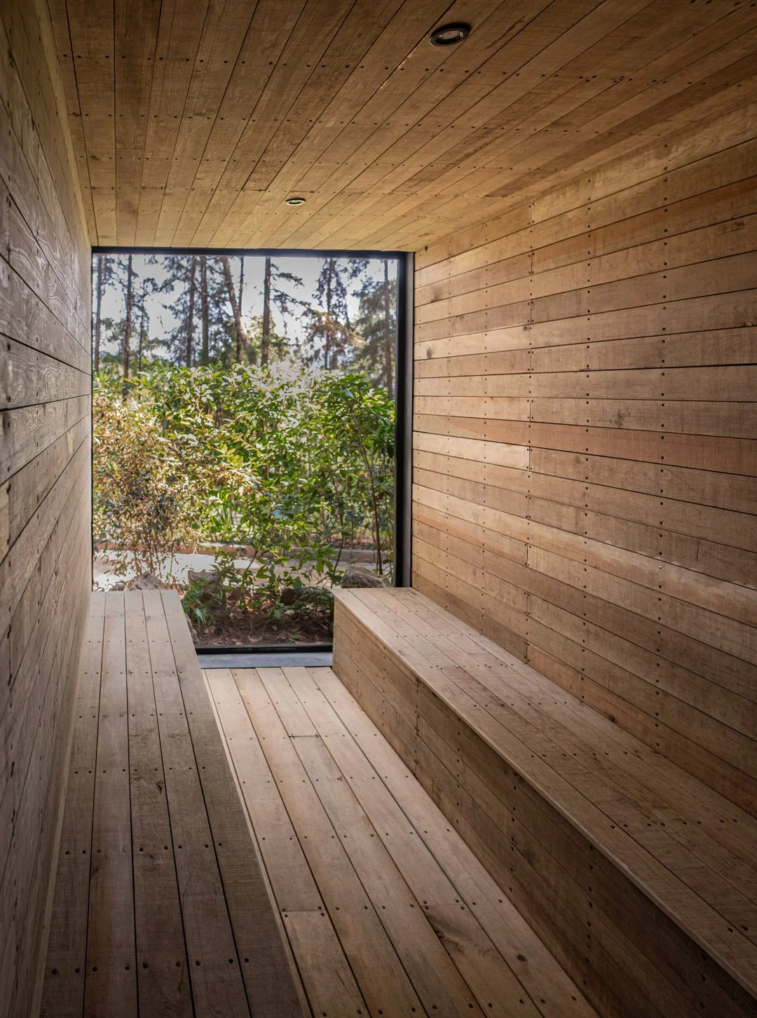 Habitación con paredes, techo y bancos de madera, con vista a plantas y árboles a través de una ventana grande.