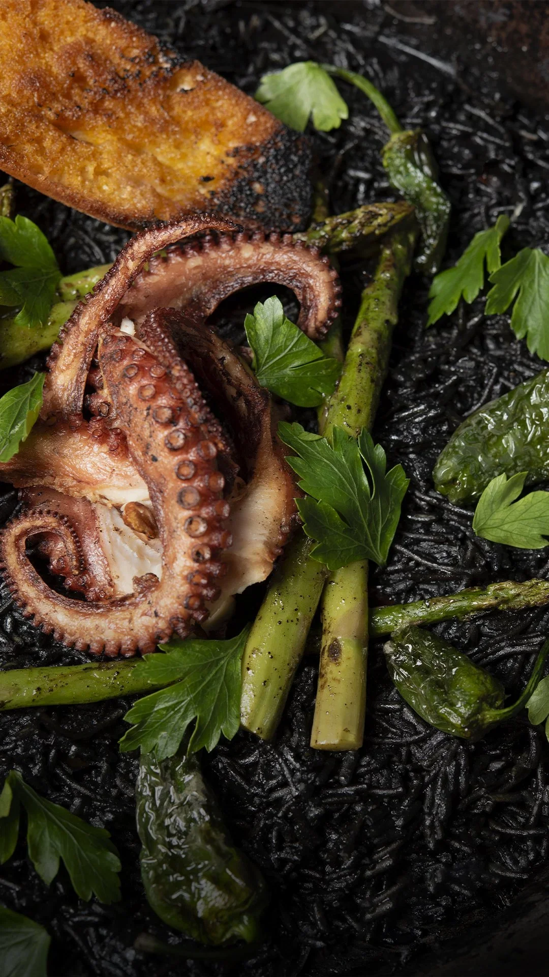 Porción de pulpo a la parrilla con espárragos, cilantro, y un pedazo de pan tostado, sobre un fondo negro.