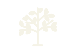 Una imagen de un árbol de color blanco en un fondo negro.