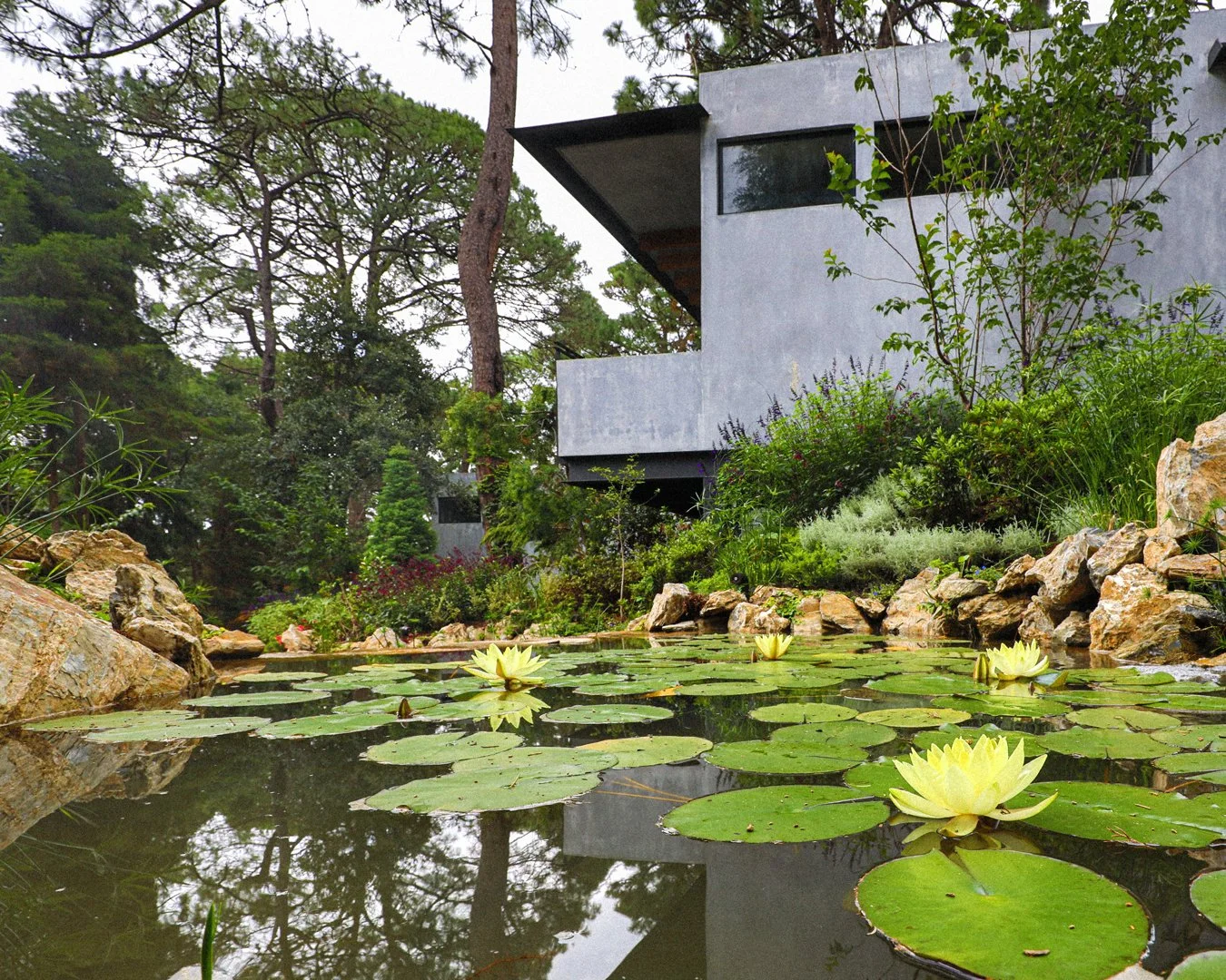 Paisaje con piscina de agua rodeada de piedras, plantas y flores acuáticas, y una casa moderna de concreto gris en el fondo, en un entorno natural con árboles altos.
