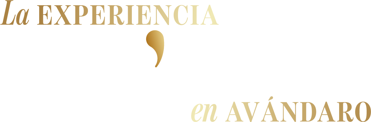 La experiencia Fisher's House en Avándaro