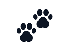 Huella de patas de animal en color oscuro sobre fondo transparente.