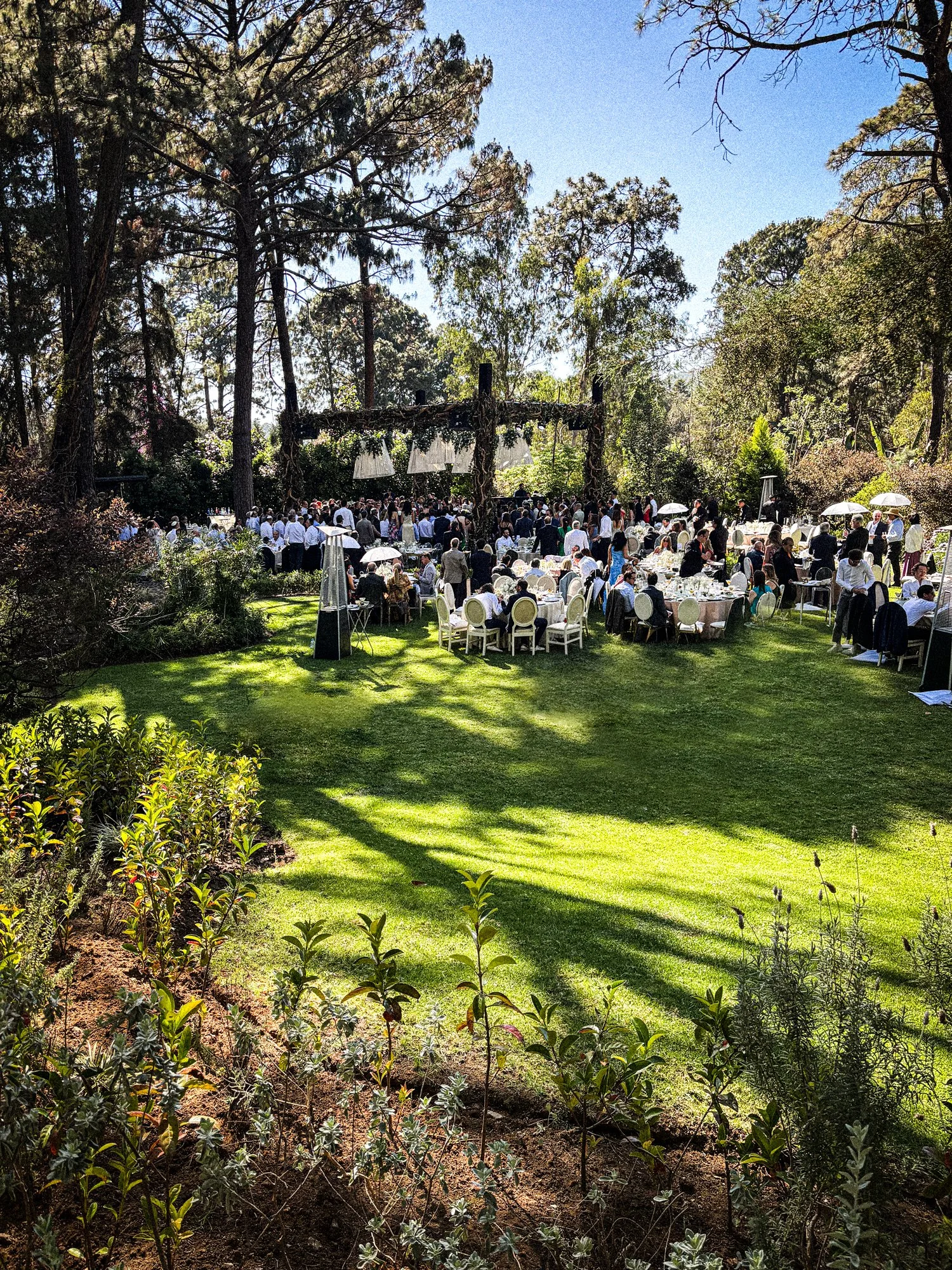 Celebración al aire libre en un jardín con muchas personas, mesas y sillas, árboles y cielo despejado.