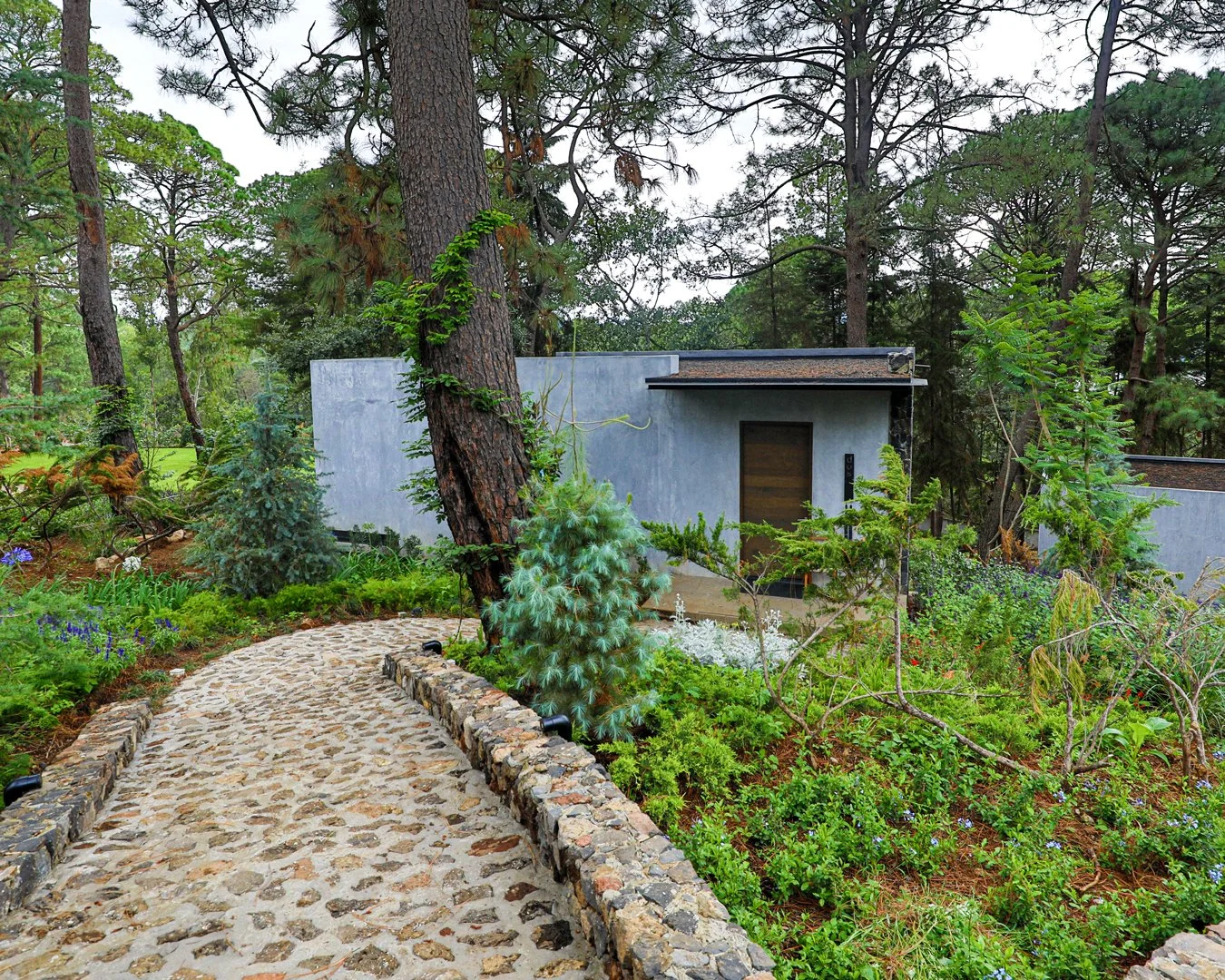 Camino de piedra que lleva a una casa moderna rodeada de árboles y plantas en un entorno natural.