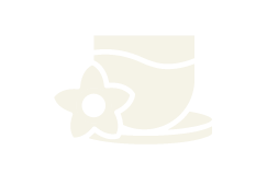 Zapato con flor