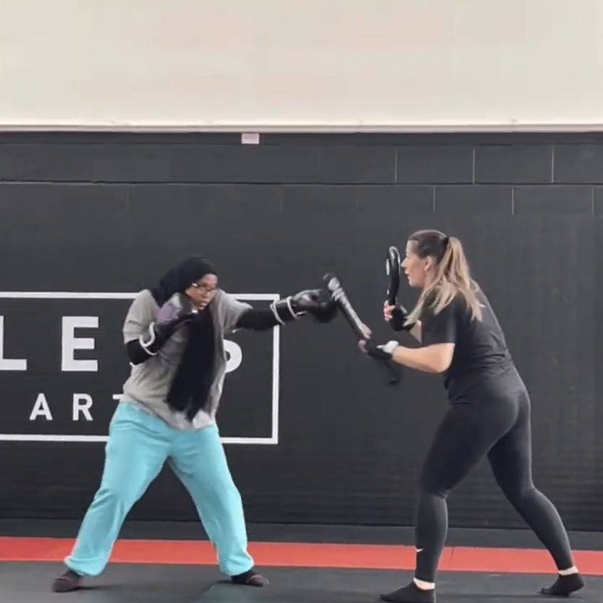 Hibah: Supporting Young Girls through Self-Defence&nbsp;