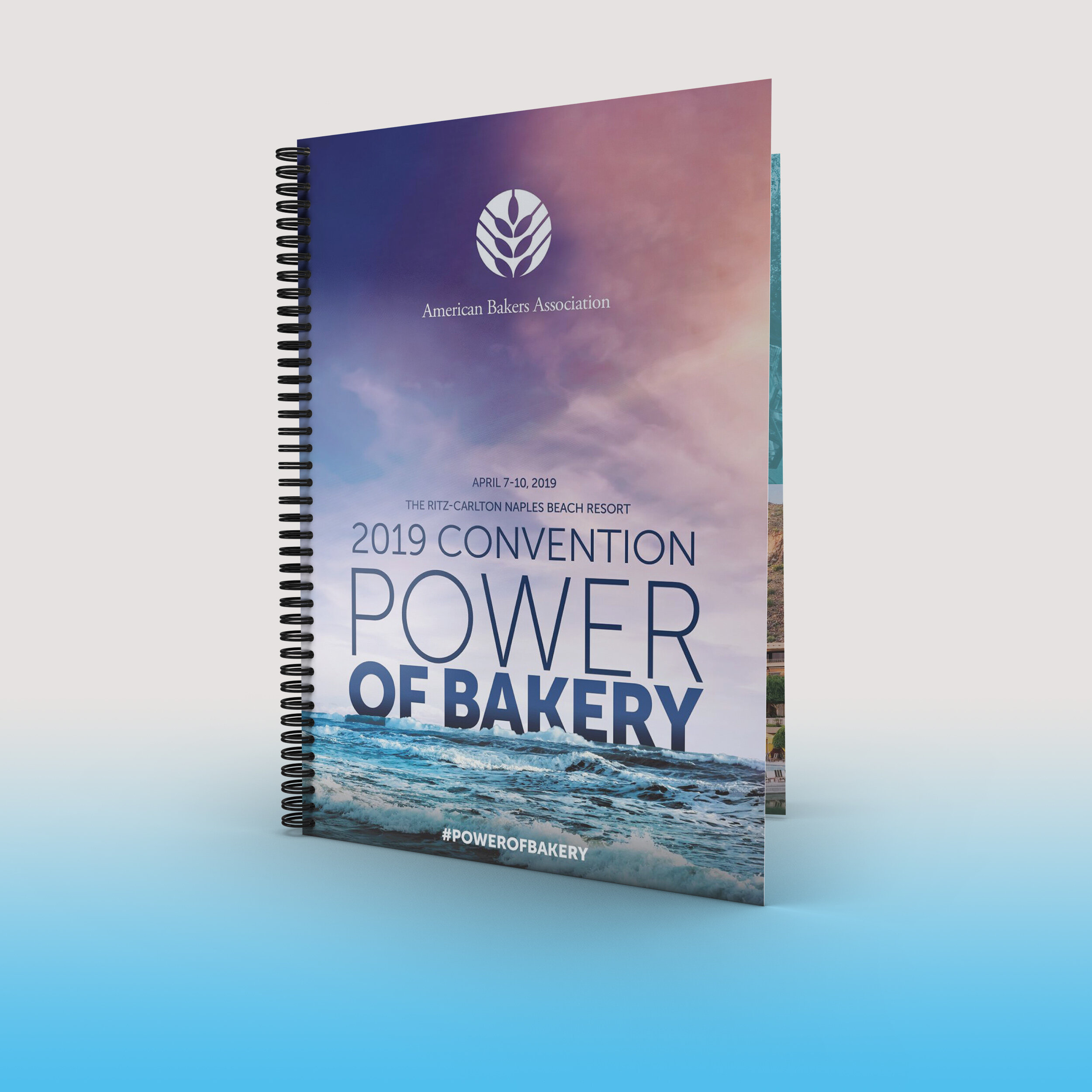 ABA Program