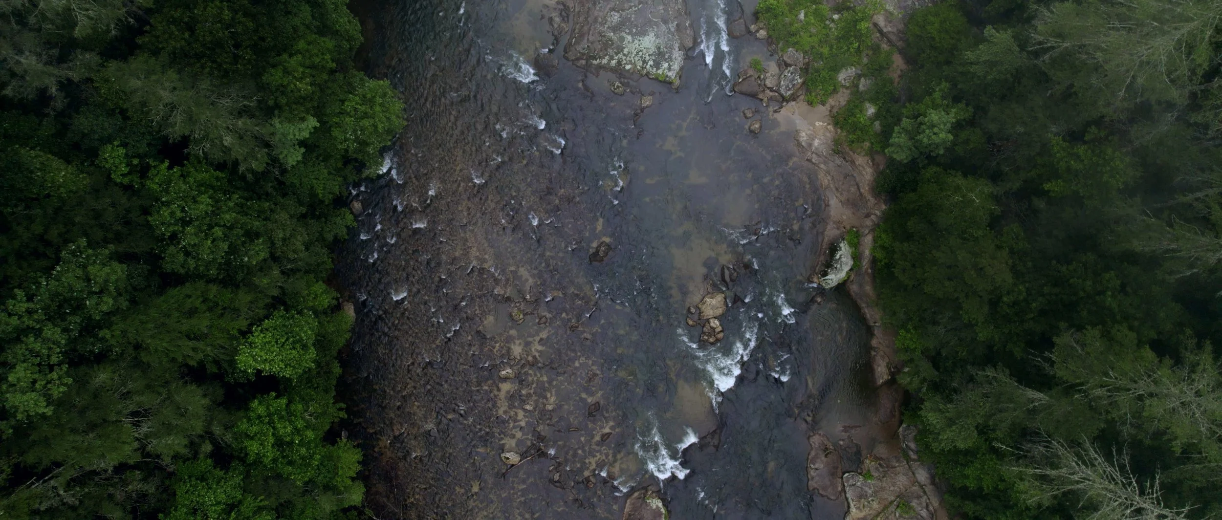 TRRO_1.6.1.jpg